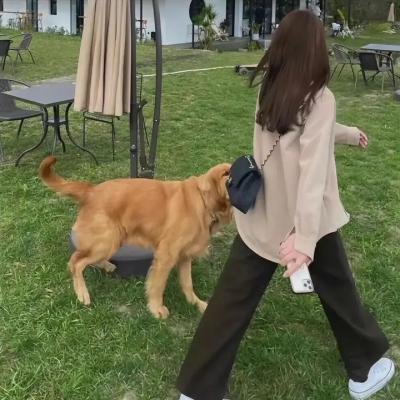 斯嘉丽小姐和公爵第三季